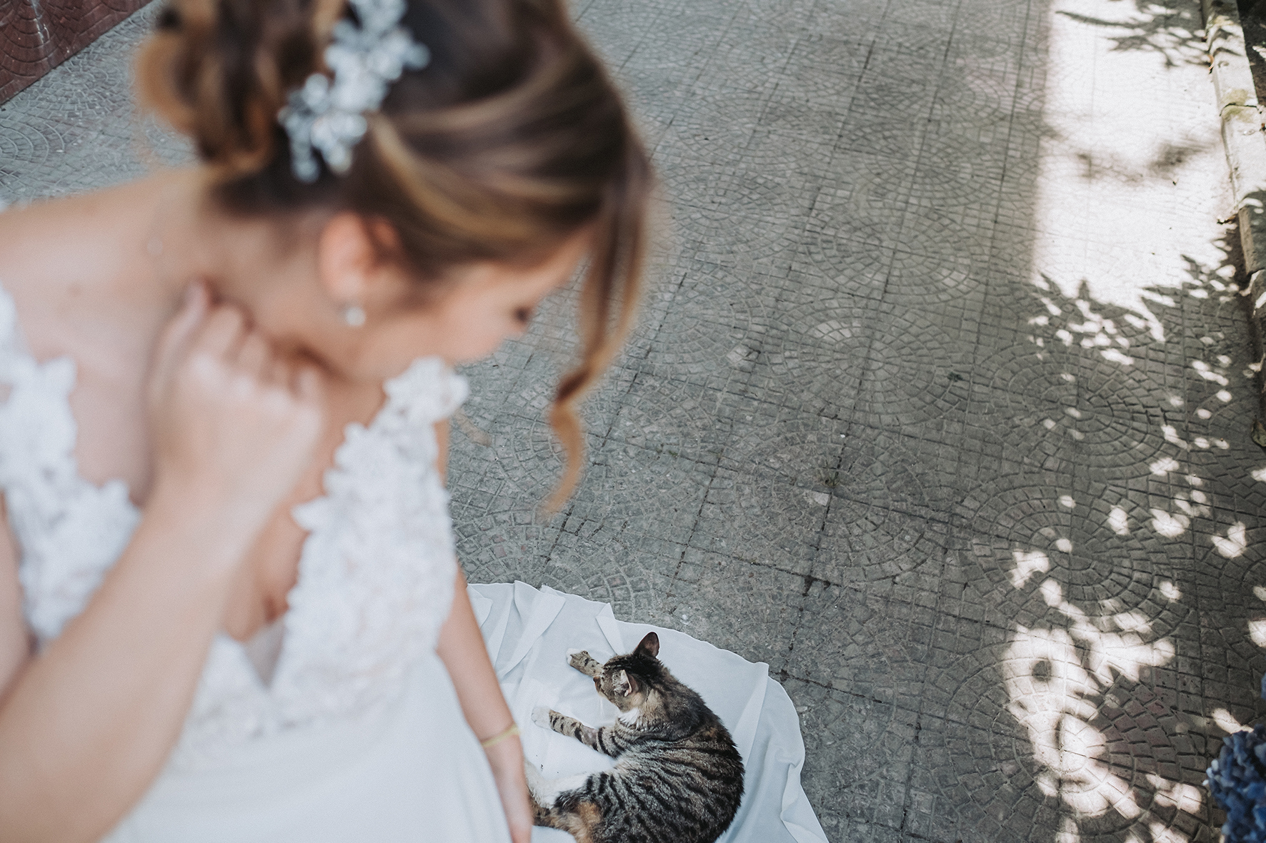 gatto sul vestito della sposa fotoreportage matrimonio napoli
